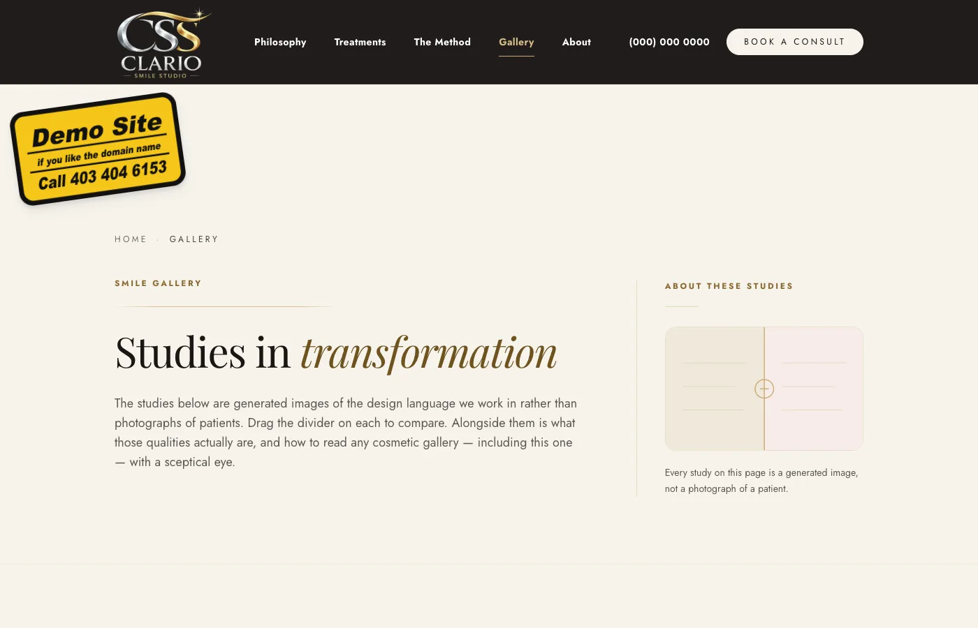 Clario Smile Studio gallery page screenshot