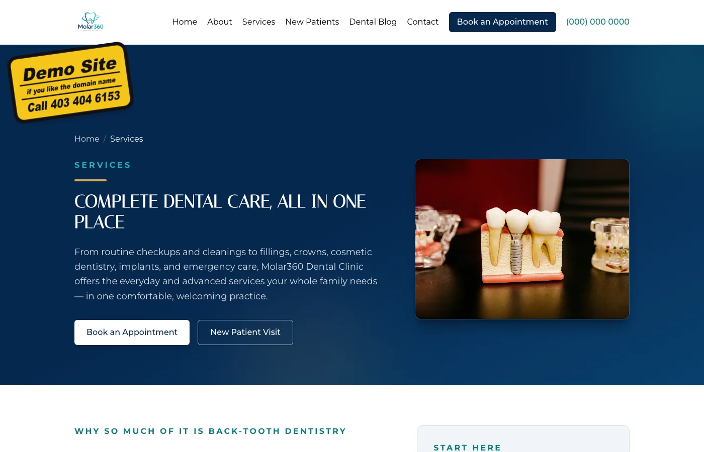 Molar360 services page screenshot
